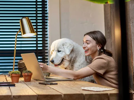 A student and her dog are interacting with classmates while using new technology in their online course.