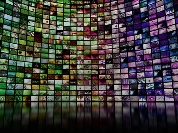 A wall of hundreds of digital screens displaying different images.