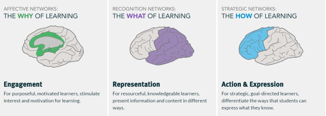 Affective Networks: The Why of Learning. Recognition Networks: the What of Learning. Strategic Networks: the How of Learning
